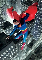Superman Twentieth Century (Box Canvas) by DC - Box Canvas sized 22x32 inches. Available from Whitewall Galleries